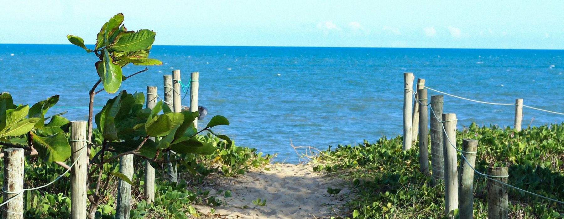 a path leading to a beach